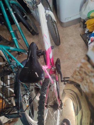 Bicicleta Rosa