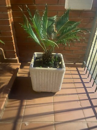 Macetero de piedra blanco dos