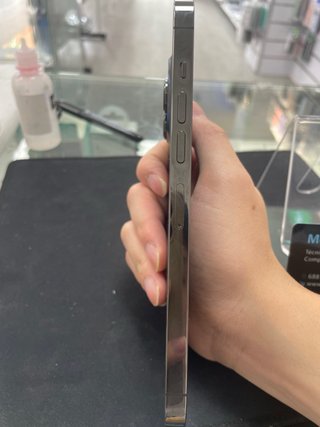 iPhone 13 Pro Max 256GB Gris Espacial