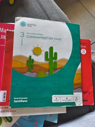 CONEIXEMENT DEL MEDI 3 PRIMARIA CONSTRUINT MONS