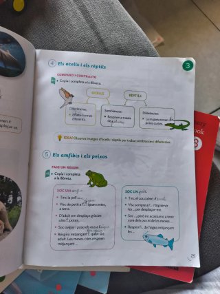 CONEIXEMENT DEL MEDI 3 PRIMARIA CONSTRUINT MONS