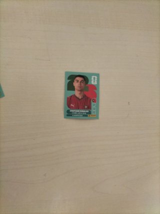Cartas de fútbol Panini Mundial Qatar 2022