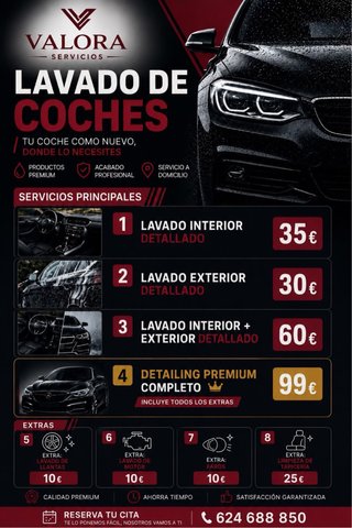 LIMPIEZA DE COCHE