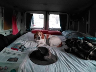 Ford Transit 2011