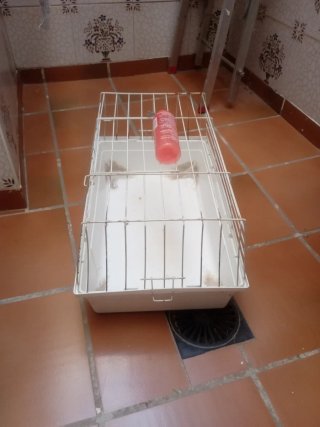 Jaula para conejo