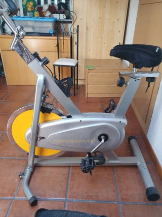 Bicicleta Estática Plateada