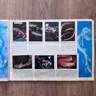 Álbum MAGA visión naturaleza (faltan 4 cromos)
