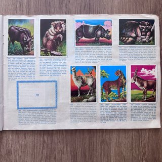 Álbum MAGA visión naturaleza (faltan 4 cromos)