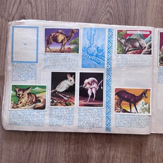 Álbum MAGA visión naturaleza (faltan 4 cromos)