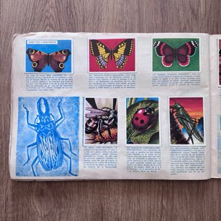 Álbum MAGA visión naturaleza (faltan 4 cromos)