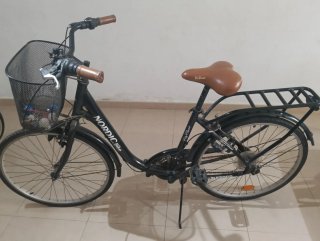 Bicicleta infantil rosa y azul