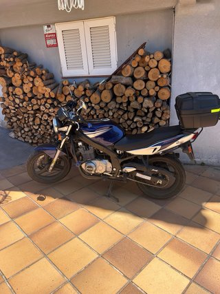 Suzuki 500