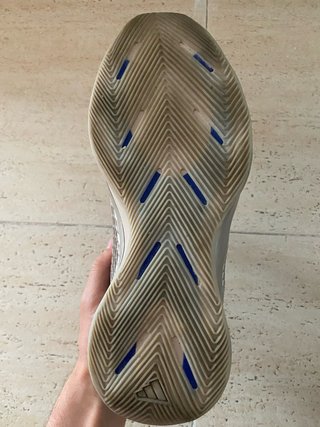 Adidas AE1 Champagne