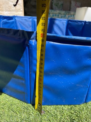 Piscina plegable para perros