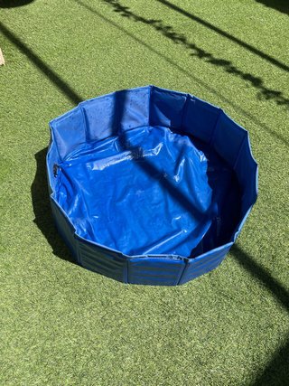 Piscina plegable para perros