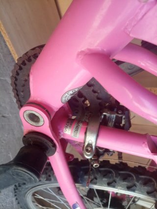 Bicicleta niña Avigo rosa 24 pulgadas