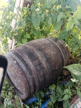 Bota de vino antigua