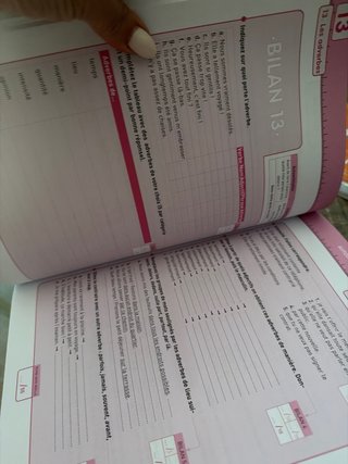 La Grammaire en règle ! Niveau B1-B2