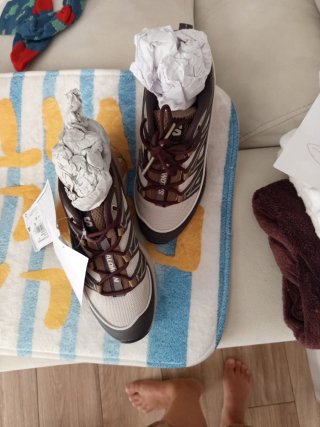 Botas de monte Salomon beige/marrón