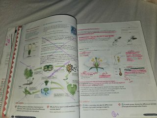 Biology & Geology 1º ESO. GENiOX   OXFORD