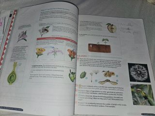 Biology & Geology 1º ESO. GENiOX   OXFORD