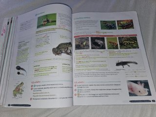 Biology & Geology 1º ESO. GENiOX   OXFORD
