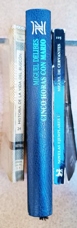 Lote 3 libros: Quevedo, Cervantes y más