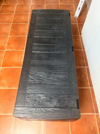Baúl de Almacenamiento Negro Plástico