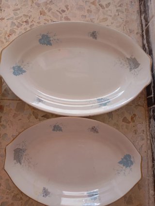Platos de porcelana con borde dorado 22 .Pllasa