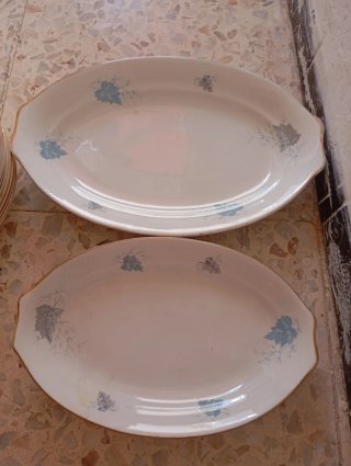 Platos de porcelana con borde dorado 22 .Pllasa