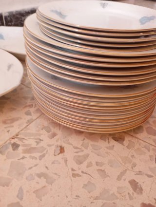 Platos de porcelana con borde dorado 22 .Pllasa