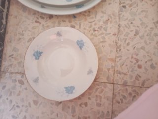 Platos de porcelana con borde dorado 22 .Pllasa