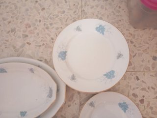 Platos de porcelana con borde dorado 22 .Pllasa