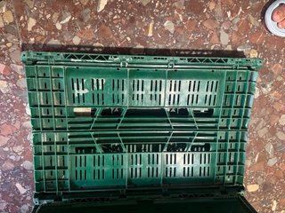 4 Cajas Plegables EUROPOOL SYSTEM Verdes