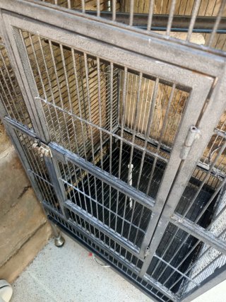 Jaula grande para loros o pájaros