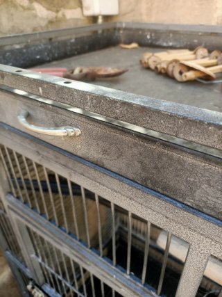 Jaula grande para loros o pájaros