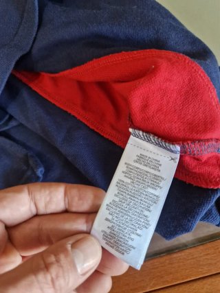 Polo Ralph Lauren color block