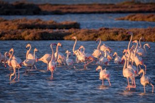 Apartamento turistico Delta del Ebro