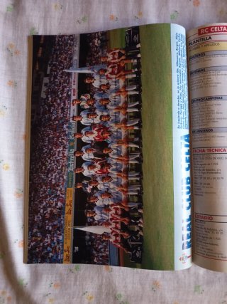 Extraliga Don balón temporada 95-96