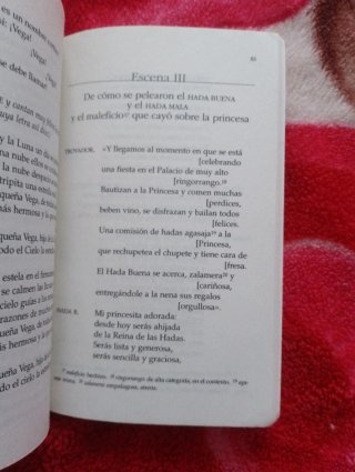 La verdadera y singular historia de la princesa...