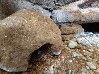 Cueva  refugio artesanal para Reptiles talla M