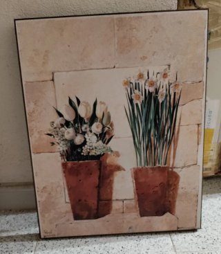 Cuadro de flores en macetas de terracota