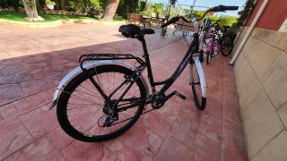 Bicicleta de paseo