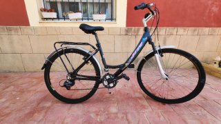 Bicicleta de paseo
