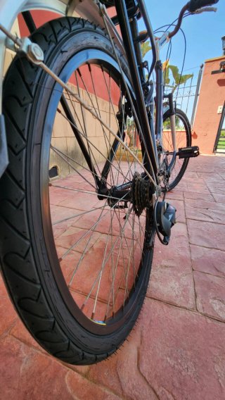 Bicicleta de paseo
