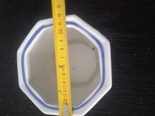 Maceta porcelana azul y blanca