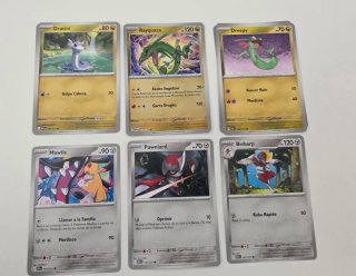Cartas Pokémon TCG Heroes Ascendentes