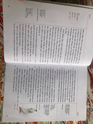 Lingua latina per se illustrata