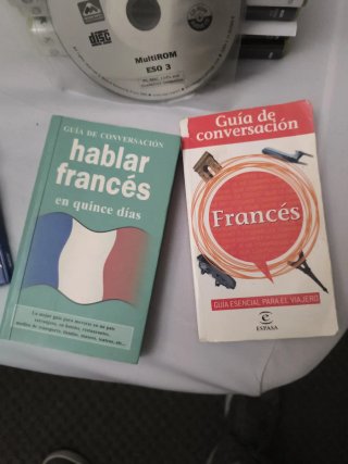 Hablar francés en quince días guía de conversac...