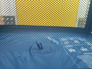 Cuna de viaje azul y naranja